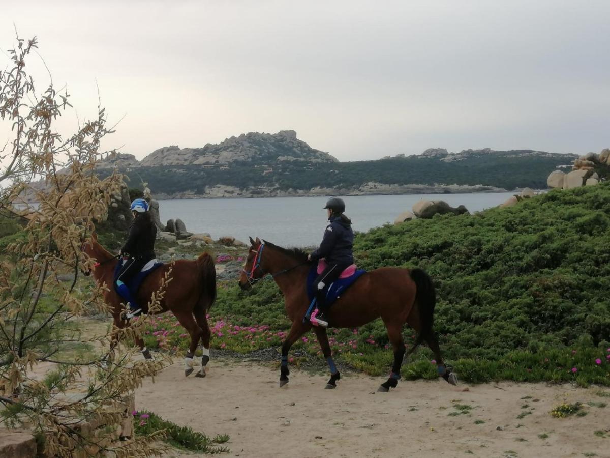 Casa Baia Santa Reparata - Santa Teresa Di Gallura Iun Q1712 المظهر الخارجي الصورة